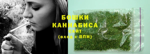 spice Аркадак