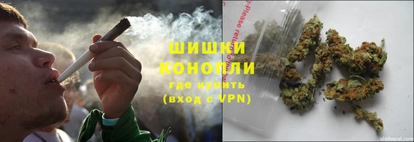 ешки Арсеньев