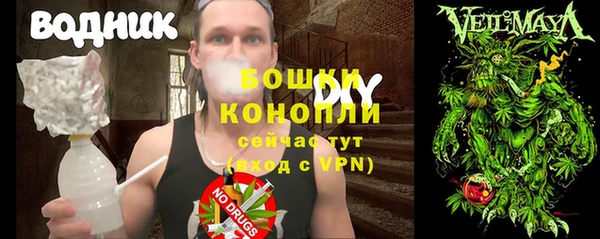 ешки Арсеньев