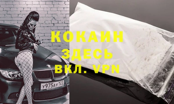 ешки Арсеньев
