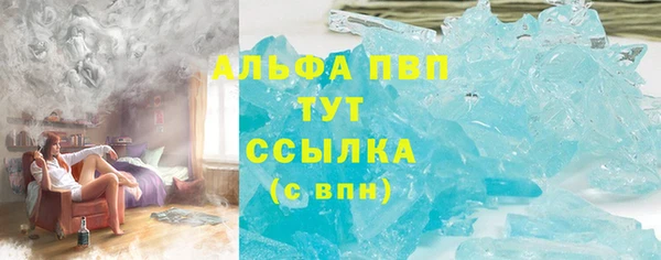 spice Аркадак