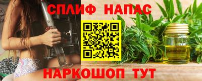 сатива Кингисепп
