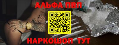 сатива Кингисепп