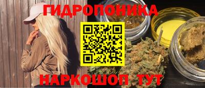 сатива Кингисепп