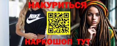 сатива Кингисепп